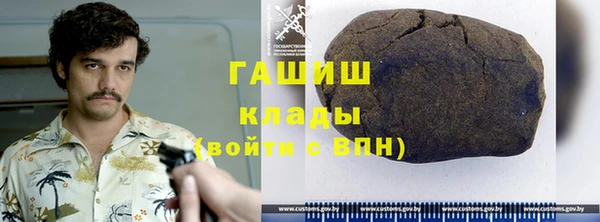 хмурый Белокуриха