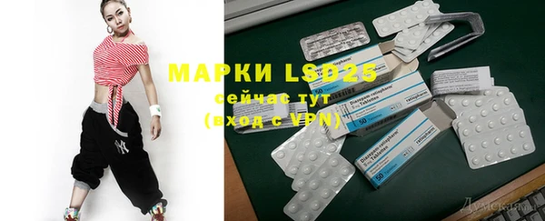 индика Белоозёрский
