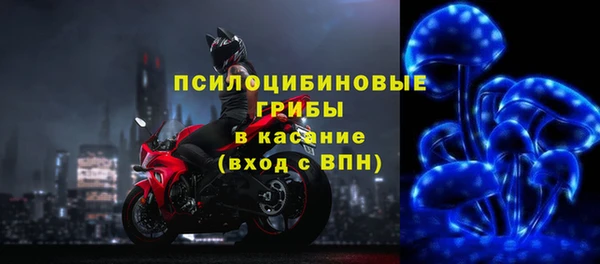 каннабис Беломорск