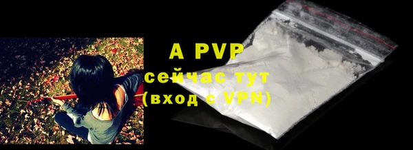 индика Белоозёрский