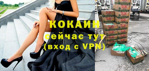 индика Белоозёрский
