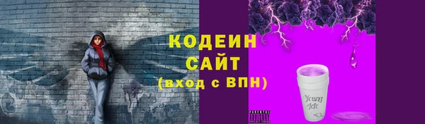 хмурый Белокуриха