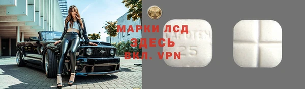 индика Белоозёрский
