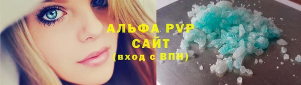 хмурый Белокуриха
