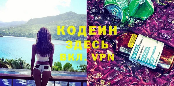 хмурый Белокуриха