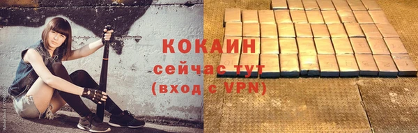 хмурый Белокуриха