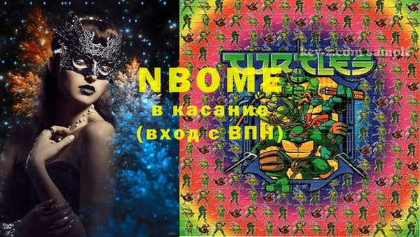 индика Белоозёрский