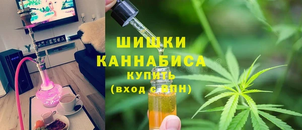 хмурый Белокуриха